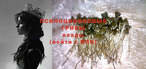 МДМА Гусев