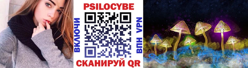 Купить  Клин  Псилоцибиновые грибы Psilocybine cubensis 