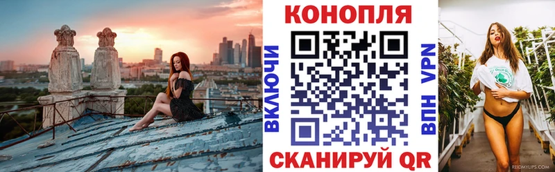 Купить  Клин  Бошки марихуана индика 